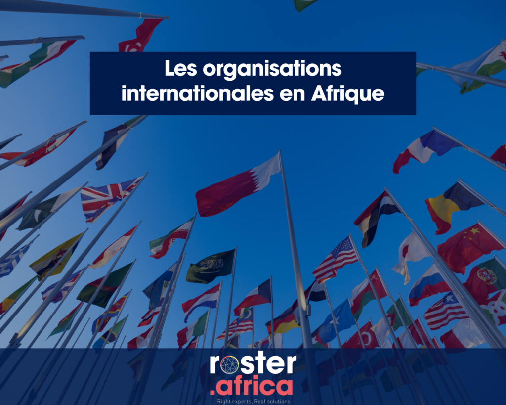 Les organisations internationales en Afrique